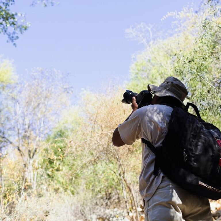 Voyage Photographique